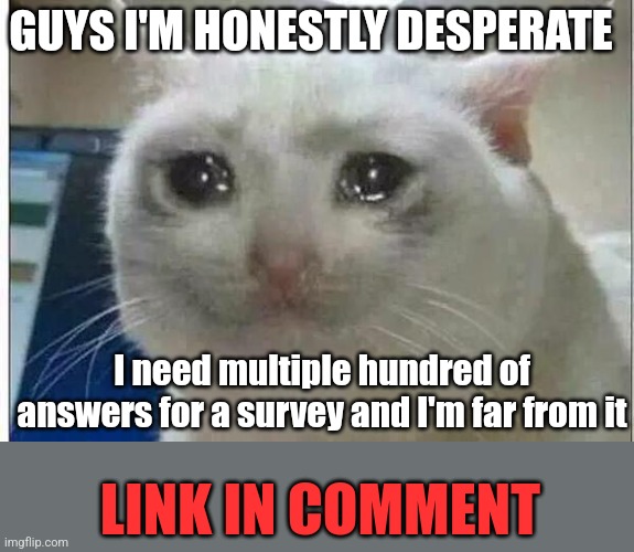 I need help for a project | GUYS I'M HONESTLY DESPERATE; I need multiple hundred of answers for a survey and I'm far from it; LINK IN COMMENT | image tagged in crying cat,school | made w/ Imgflip meme maker