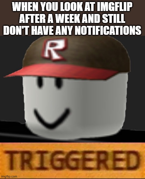 *slowly realizes that he isn't top creator* | WHEN YOU LOOK AT IMGFLIP AFTER A WEEK AND STILL DON'T HAVE ANY NOTIFICATIONS | image tagged in roblox triggered,triggered,angry,notifications,roblox,why | made w/ Imgflip meme maker