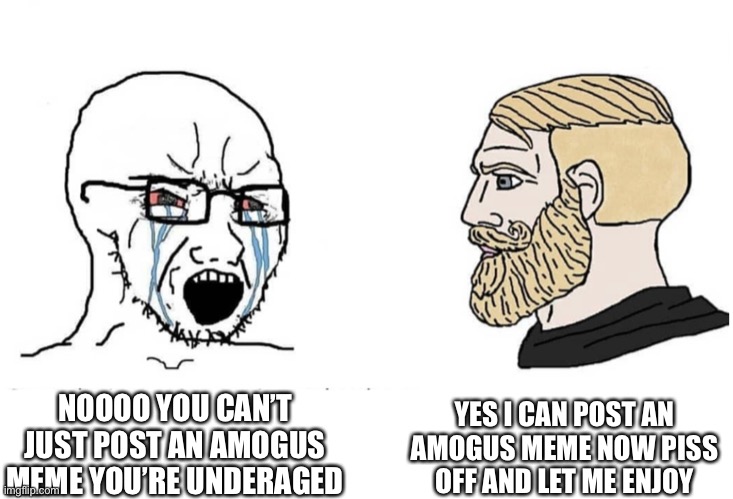 Soyboy Vs Yes Chad | YES I CAN POST AN AMOGUS MEME NOW PISS OFF AND LET ME ENJOY; NOOOO YOU CAN’T JUST POST AN AMOGUS MEME YOU’RE UNDERAGED | image tagged in soyboy vs yes chad | made w/ Imgflip meme maker