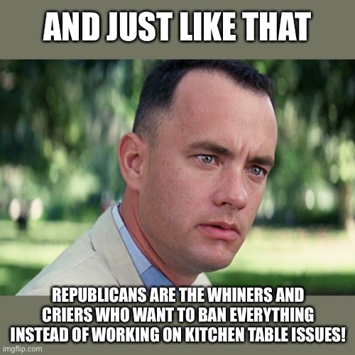 And Just Like That Meme | AND JUST LIKE THAT; REPUBLICANS ARE THE WHINERS AND CRIERS WHO WANT TO BAN EVERYTHING INSTEAD OF WORKING ON KITCHEN TABLE ISSUES! | image tagged in memes,and just like that | made w/ Imgflip meme maker