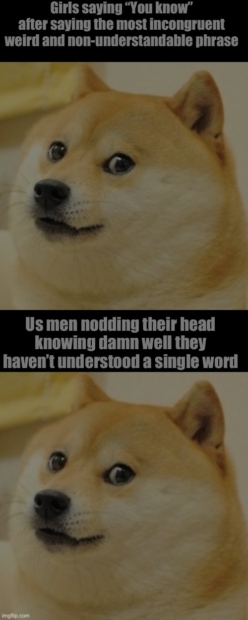 Girls saying “You know” after saying the most incongruent weird and non-understandable phrase; Us men nodding their head knowing damn well they haven’t understood a single word | image tagged in memes,doge,wow doge | made w/ Imgflip meme maker