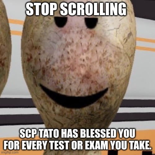 SCP Tato | STOP SCROLLING; SCP TATO HAS BLESSED YOU FOR EVERY TEST OR EXAM YOU TAKE. | image tagged in scp tato,funny,hahaha,scp,scp meme | made w/ Imgflip meme maker