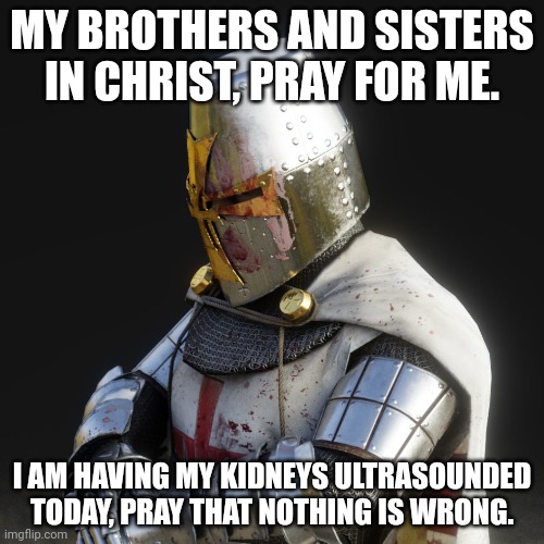 Paladin | MY BROTHERS AND SISTERS IN CHRIST, PRAY FOR ME. I AM HAVING MY KIDNEYS ULTRASOUNDED TODAY, PRAY THAT NOTHING IS WRONG. | image tagged in paladin | made w/ Imgflip meme maker