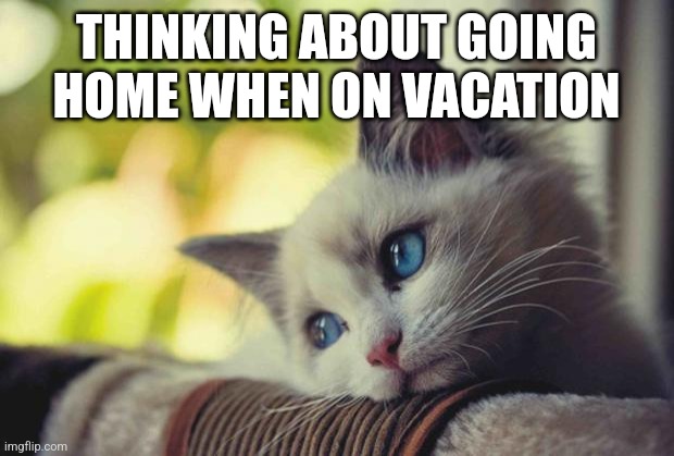 Vacation memes | THINKING ABOUT GOING HOME WHEN ON VACATION | image tagged in i miss you,vacation,memes,funny | made w/ Imgflip meme maker