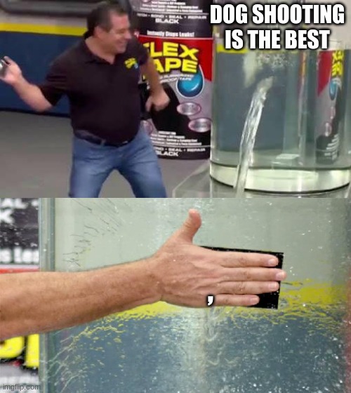 Flex Tape | DOG SHOOTING IS THE BEST; , | image tagged in flex tape,funny,funny memes,lol,goofy ahh,grammar | made w/ Imgflip meme maker
