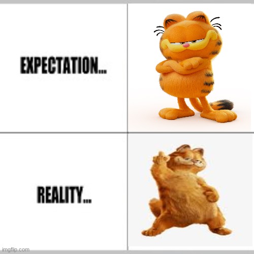 Expectation vs Reality | image tagged in expectation vs reality | made w/ Imgflip meme maker