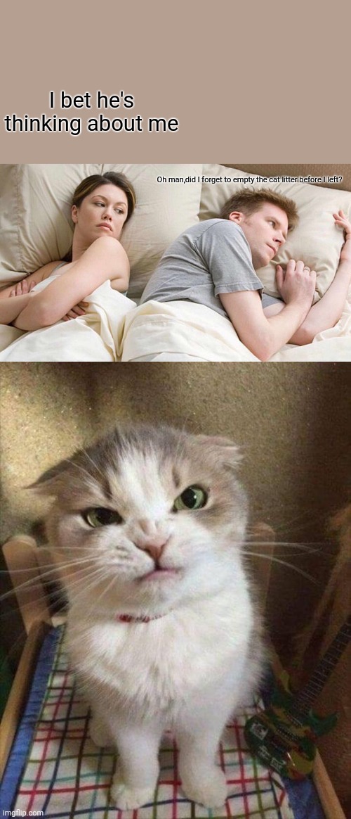 I bet he's thinking about me; Oh man,did I forget to empty the cat litter before I left? | image tagged in memes,i bet he's thinking about other women,angry cat | made w/ Imgflip meme maker