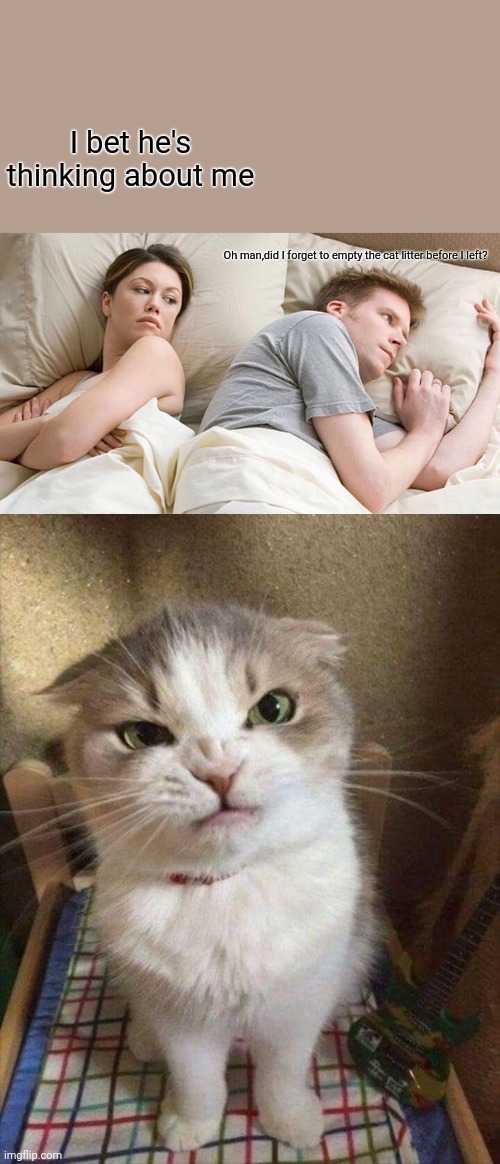 thinking cat Blank Template - Imgflip