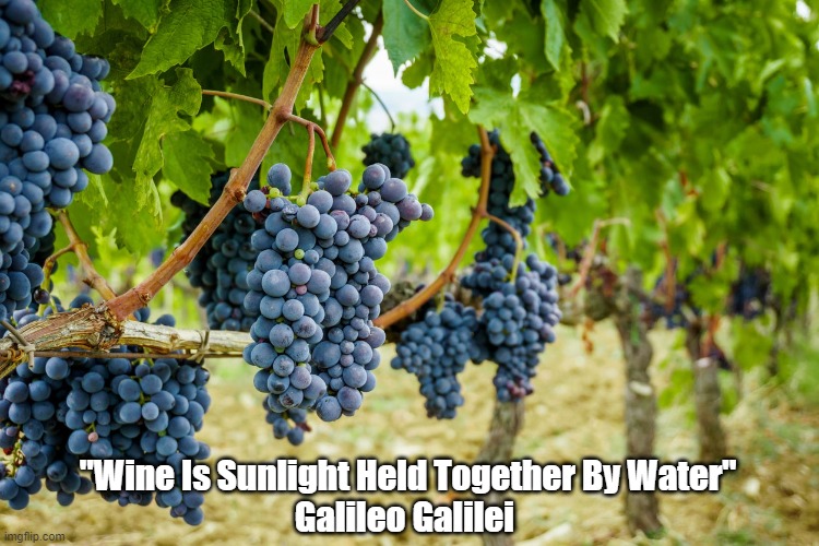 Galileo On The Relationship Between Wine And Sunlight | "Wine Is Sunlight Held Together By Water"
Galileo Galilei | image tagged in galileo,wine,grapes,water | made w/ Imgflip meme maker