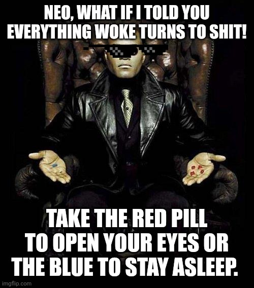 Your Choice | NEO, WHAT IF I TOLD YOU EVERYTHING WOKE TURNS TO SHIT! TAKE THE RED PILL TO OPEN YOUR EYES OR THE BLUE TO STAY ASLEEP. | image tagged in morpheus blue red pill,matrix pills,politics,memes | made w/ Imgflip meme maker