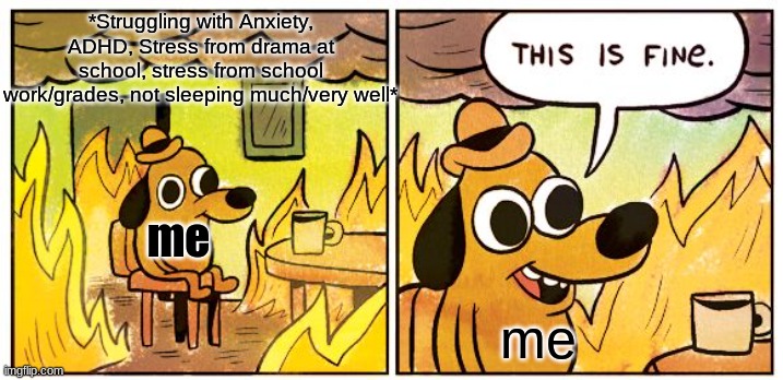 This is not fine | *Struggling with Anxiety, ADHD, Stress from drama at school, stress from school work/grades, not sleeping much/very well*; me; me | image tagged in mental health,anxiety,stressed,stress,insomnia,this is fine this is not fine | made w/ Imgflip meme maker