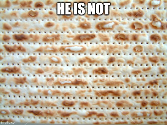 rcc matza | HE IS NOT | image tagged in rcc matza | made w/ Imgflip meme maker