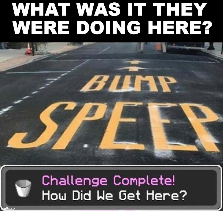 WHAT WAS IT THEY 
WERE DOING HERE? | image tagged in how did we get here | made w/ Imgflip meme maker