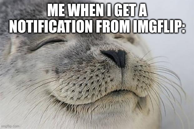 Satisfied Seal Meme | ME WHEN I GET A NOTIFICATION FROM IMGFLIP: | image tagged in memes,satisfied seal | made w/ Imgflip meme maker