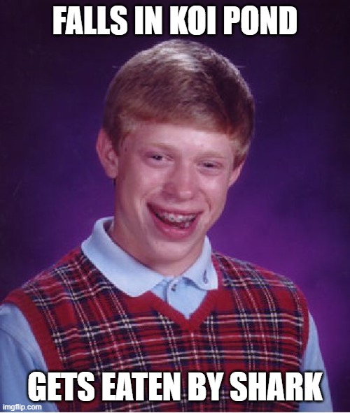 Bad Luck Brian | FALLS IN KOI POND; GETS EATEN BY SHARK | image tagged in memes,bad luck brian | made w/ Imgflip meme maker