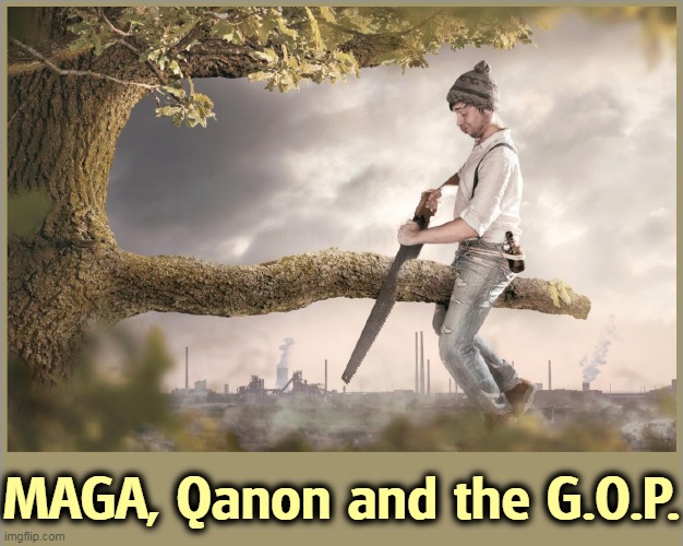 Don't have the hang of this just yet. | MAGA, Qanon and the G.O.P. | image tagged in maga,qanon,gop,voting,losers | made w/ Imgflip meme maker