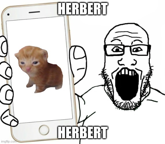 soyjak | HERBERT; HERBERT | image tagged in soyjak | made w/ Imgflip meme maker