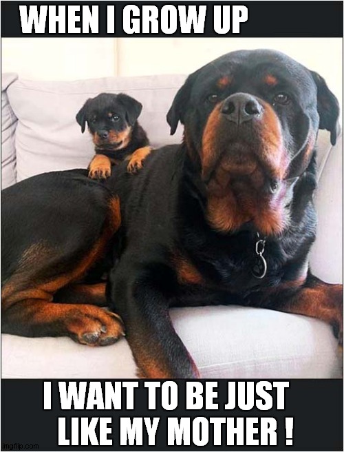 Rottweiler And Pup ! | WHEN I GROW UP; I WANT TO BE JUST 
  LIKE MY MOTHER ! | image tagged in dogs,rottweiler,puppy | made w/ Imgflip meme maker