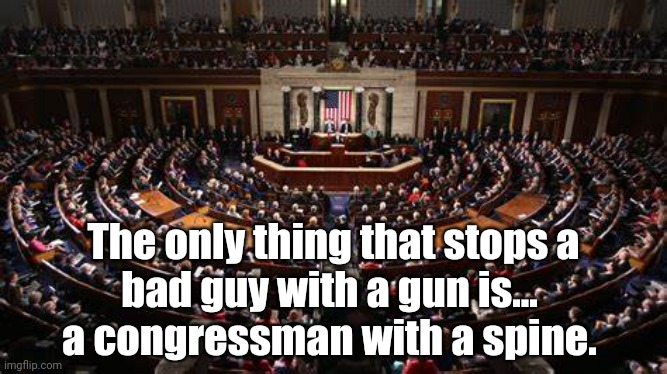 Congressman with a Spine | The only thing that stops a
bad guy with a gun is... 
a congressman with a spine. | image tagged in gun control,politics | made w/ Imgflip meme maker