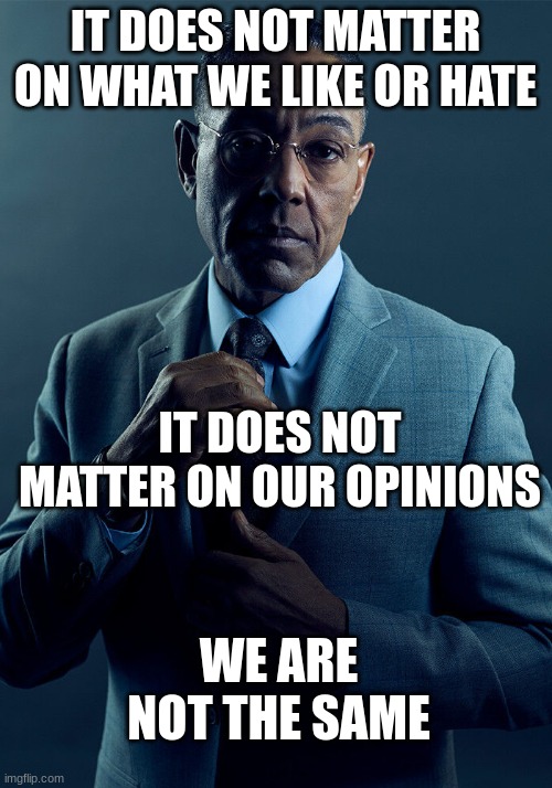 ... | IT DOES NOT MATTER ON WHAT WE LIKE OR HATE; IT DOES NOT MATTER ON OUR OPINIONS; WE ARE NOT THE SAME | image tagged in gus fring we are not the same,funny,memes,so true memes | made w/ Imgflip meme maker