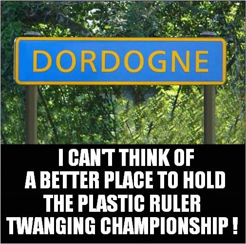 Looks Like I'm Going To France ! | I CAN'T THINK OF A BETTER PLACE TO HOLD; THE PLASTIC RULER TWANGING CHAMPIONSHIP ! | image tagged in ruler,twanging,onomatopoeia,dordogne,france | made w/ Imgflip meme maker