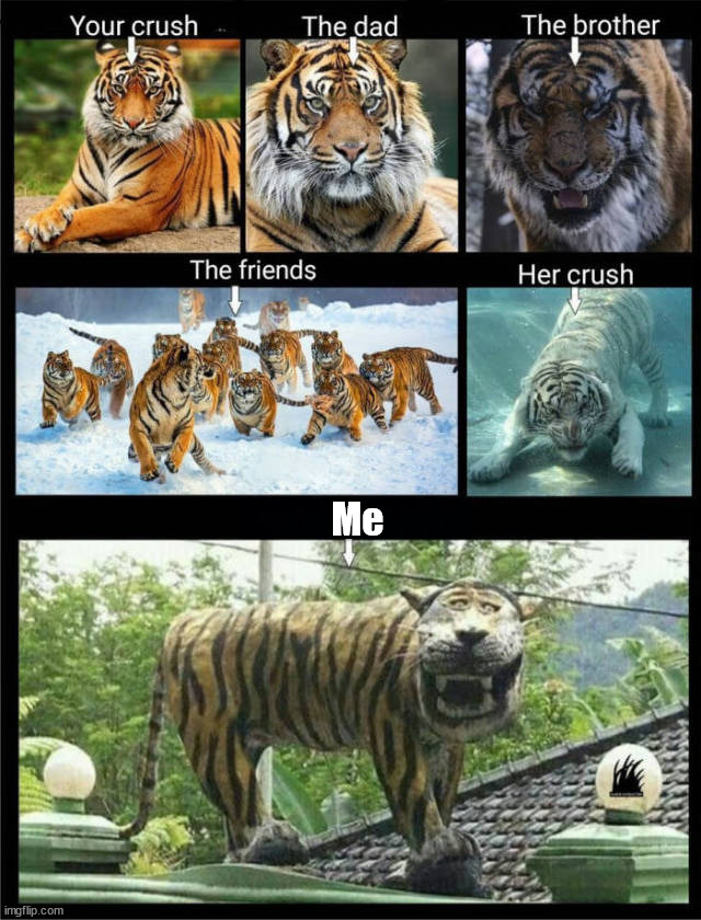 Me | made w/ Imgflip meme maker