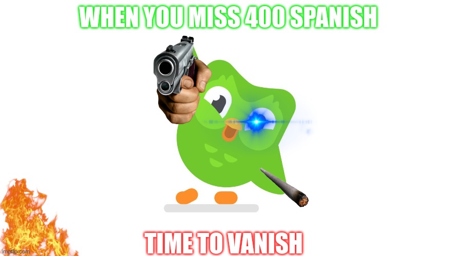 when you miss 400 Spanish lessons | WHEN YOU MISS 400 SPANISH; TIME TO VANISH | image tagged in doulingo | made w/ Imgflip meme maker