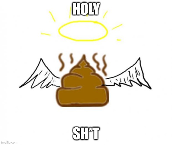 Holy Shit | HOLY SH*T | image tagged in holy shit | made w/ Imgflip meme maker