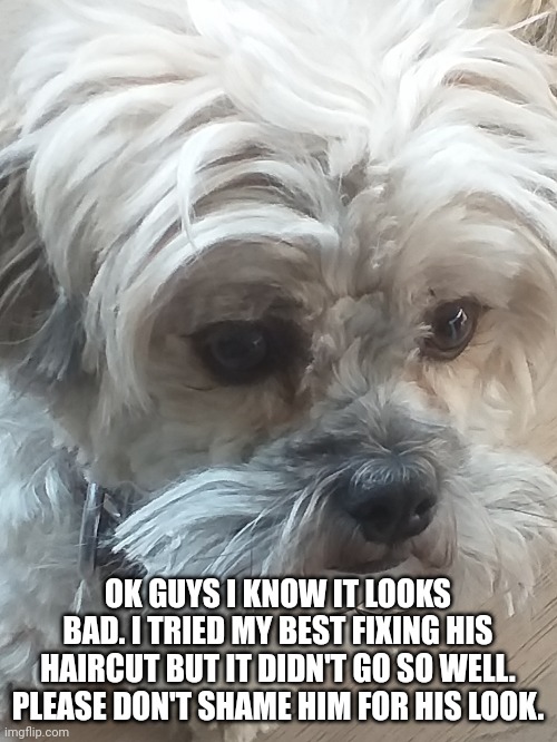 OK GUYS I KNOW IT LOOKS BAD. I TRIED MY BEST FIXING HIS HAIRCUT BUT IT DIDN'T GO SO WELL. PLEASE DON'T SHAME HIM FOR HIS LOOK. | made w/ Imgflip meme maker