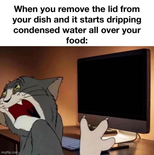 image tagged in memes,funny | made w/ Imgflip meme maker