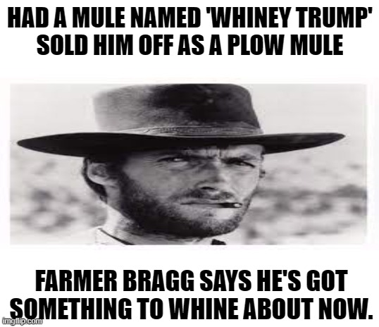 HAD A MULE NAMED 'WHINEY TRUMP'
SOLD HIM OFF AS A PLOW MULE FARMER BRAGG SAYS HE'S GOT SOMETHING TO WHINE ABOUT NOW. | made w/ Imgflip meme maker