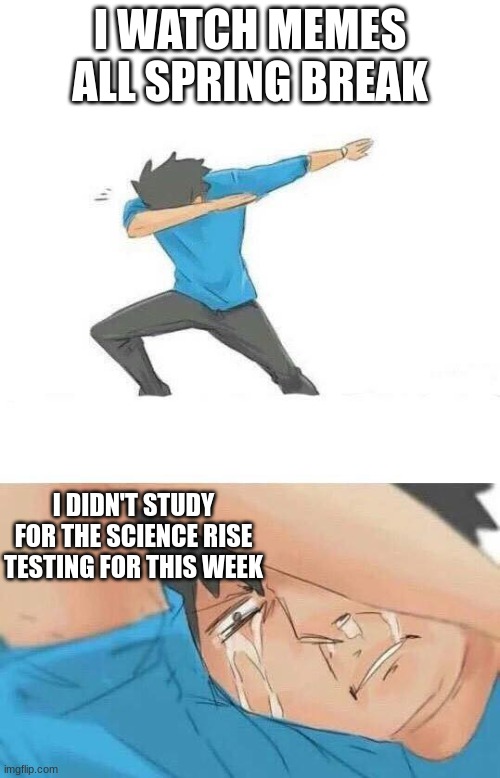 Me to Spring Break | I WATCH MEMES ALL SPRING BREAK; I DIDN'T STUDY FOR THE SCIENCE RISE TESTING FOR THIS WEEK | image tagged in dab crying | made w/ Imgflip meme maker