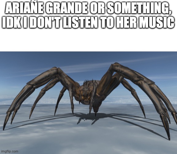 Big Spider | ARIAÑE GRANDE OR SOMETHING, IDK I DON'T LISTEN TO HER MUSIC | image tagged in big spider | made w/ Imgflip meme maker