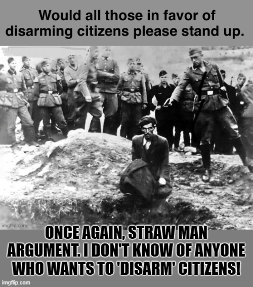 straw man again... | ONCE AGAIN, STRAW MAN ARGUMENT. I DON'T KNOW OF ANYONE WHO WANTS TO 'DISARM' CITIZENS! | image tagged in strawman | made w/ Imgflip meme maker