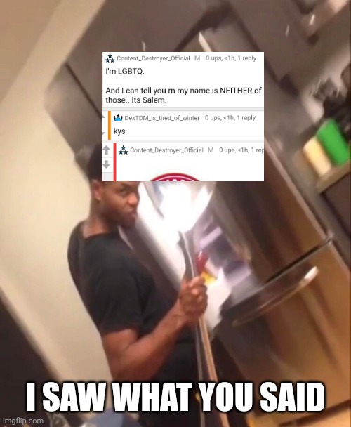 Comically Large Spoon | I SAW WHAT YOU SAID | image tagged in comically large spoon | made w/ Imgflip meme maker