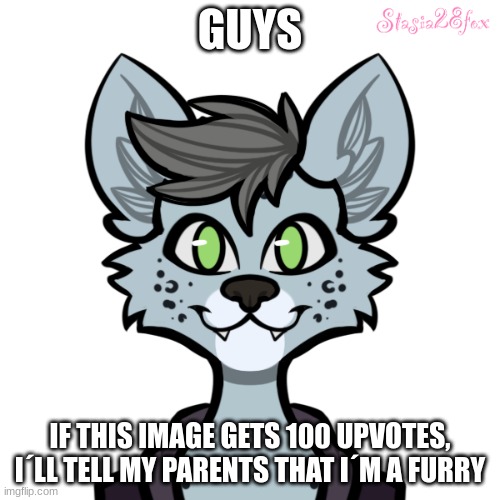 pleasse | GUYS; IF THIS IMAGE GETS 100 UPVOTES, I´LL TELL MY PARENTS THAT I´M A FURRY | image tagged in snow the wolf | made w/ Imgflip meme maker