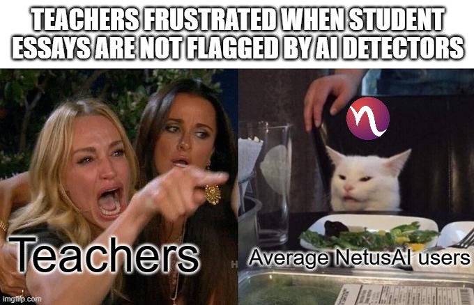 Paraphrasing tool that beats AI detectors | TEACHERS FRUSTRATED WHEN STUDENT ESSAYS ARE NOT FLAGGED BY AI DETECTORS; Teachers; Average NetusAI users | image tagged in memes,woman yelling at cat | made w/ Imgflip meme maker