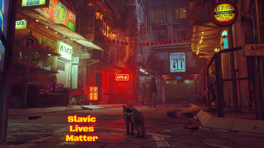 Stray | Slavic Lives Matter | image tagged in stray,slavic | made w/ Imgflip meme maker