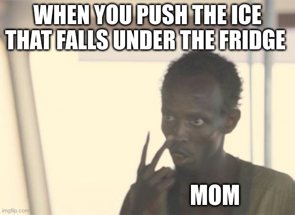 ice | WHEN YOU PUSH THE ICE THAT FALLS UNDER THE FRIDGE; MOM | image tagged in memes,i'm the captain now | made w/ Imgflip meme maker