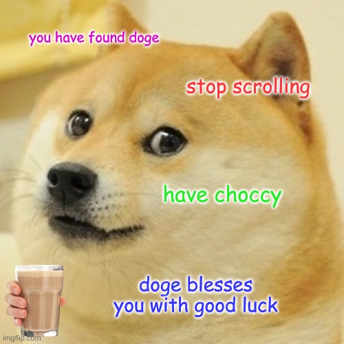:) | you have found doge; stop scrolling; have choccy; doge blesses you with good luck | image tagged in memes,doge | made w/ Imgflip meme maker
