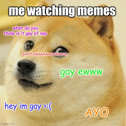 haHAHAHAHAHAH | me watching memes; what do you think is it gay of nay; GAY?! HAHAHAHAHAHAHA; gay ewww; hey im gay >:(; AYO | image tagged in memes,doge,gay | made w/ Imgflip meme maker