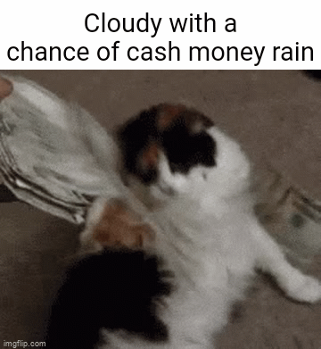 Make It Rain Meme Discover more interesting Animal, Animals, Cash