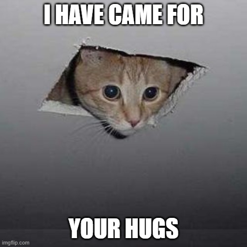 literally everyone | I HAVE CAME FOR; YOUR HUGS | image tagged in memes,ceiling cat | made w/ Imgflip meme maker