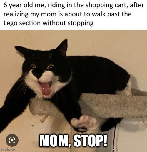 Nooooo | MOM, STOP! | image tagged in grumpy cat | made w/ Imgflip meme maker