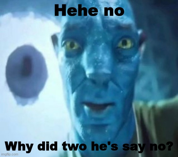 Avatar guy | Hehe no Why did two he's say no? | image tagged in avatar guy | made w/ Imgflip meme maker
