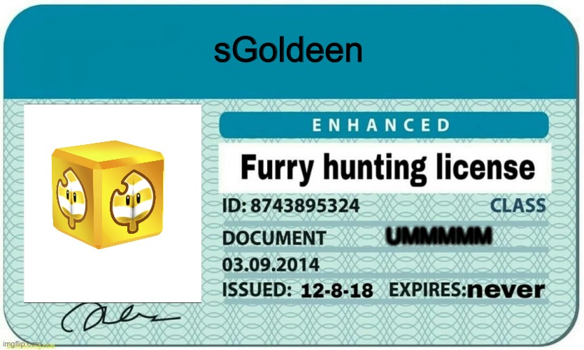 furry hunting license | sGoldeen; UMMMMM | image tagged in furry hunting license | made w/ Imgflip meme maker