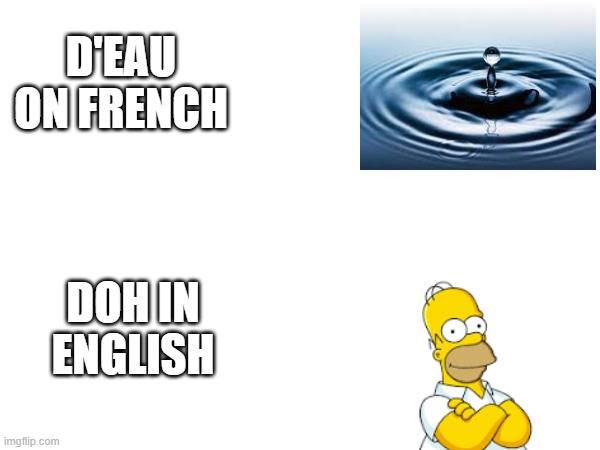 D'eau VS Doh | D'EAU ON FRENCH; DOH IN ENGLISH | image tagged in homer simpson,foreign | made w/ Imgflip meme maker