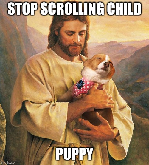 jesus has a puppy | STOP SCROLLING CHILD; PUPPY | image tagged in jesus,jesus christ,cute puppies,wholesome | made w/ Imgflip meme maker