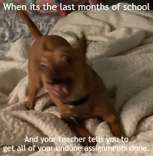 and worse thing is i have 13 assignments overdue | When its the last months of school; And your teacher tells you to get all of your undone assignments done. | image tagged in scared rex | made w/ Imgflip meme maker