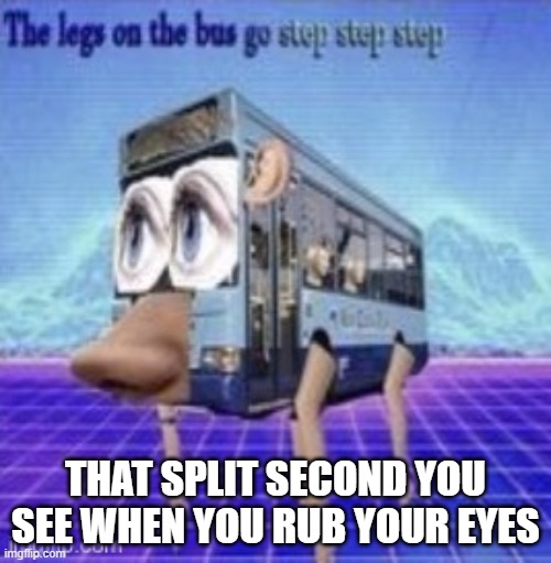 The legs on the bus go step step | THAT SPLIT SECOND YOU SEE WHEN YOU RUB YOUR EYES | image tagged in the legs on the bus go step step | made w/ Imgflip meme maker